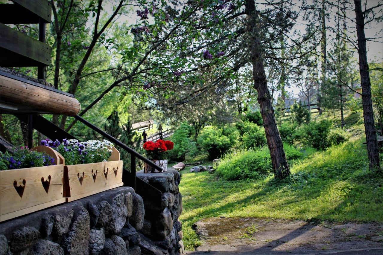 Willa Gawra Zakopane Kültér fotó
